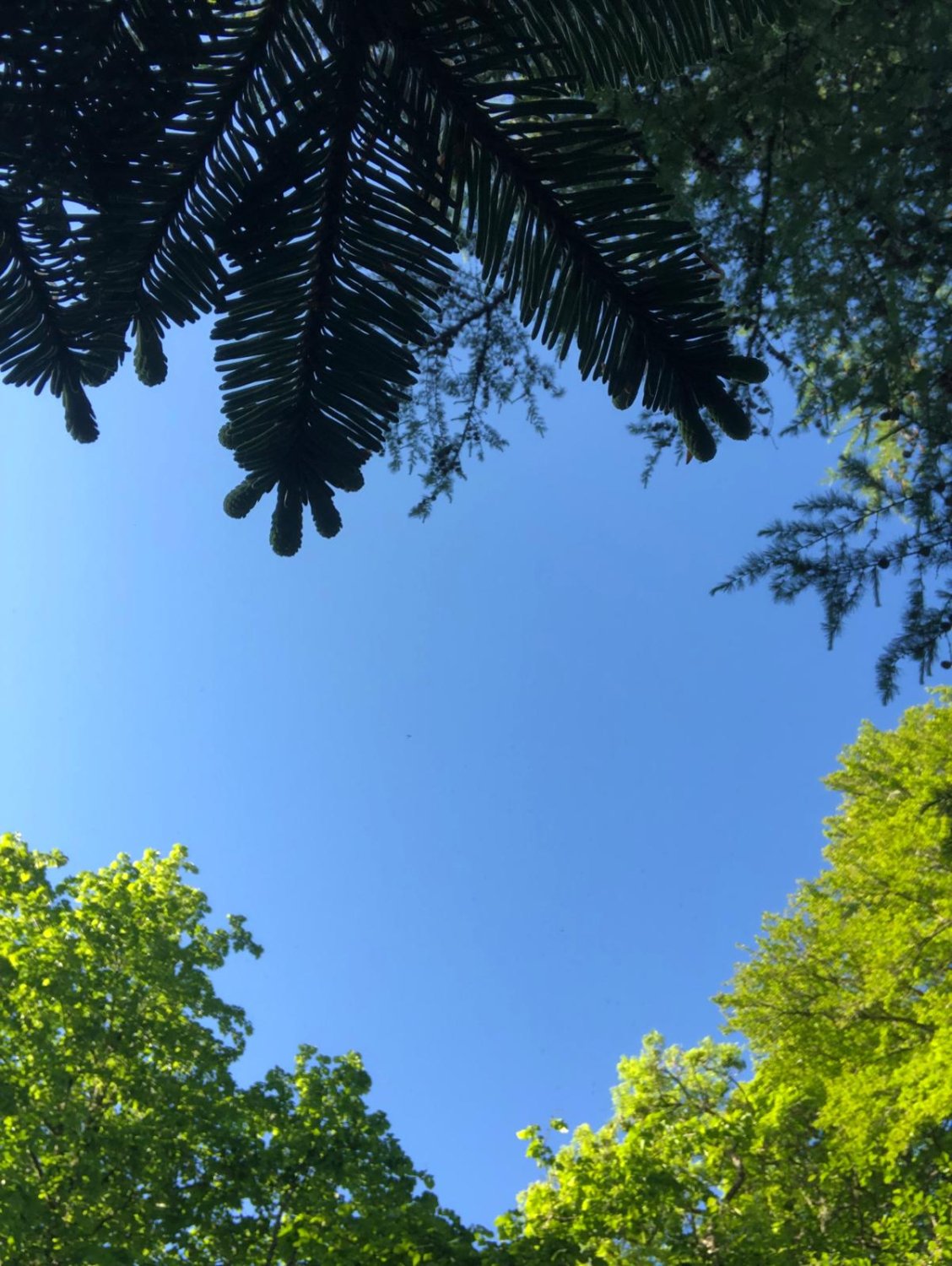 Blue sky at Coul