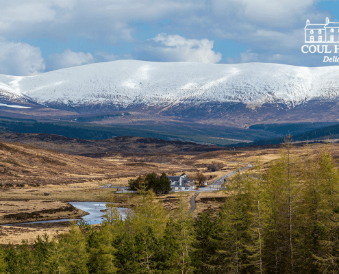 Discover the magic of a Highland winter at Coul House Hotel near Inverness. Enjoy roaring fires, fine dining, and our exclusive winter offer from £100 per night.