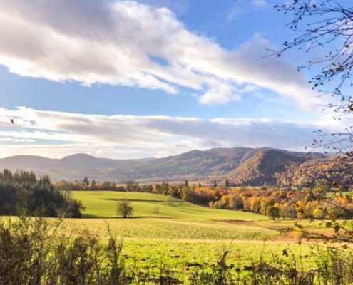 Discover the magic of a Highland winter at Coul House Hotel near Inverness. Enjoy roaring fires, fine dining, and our exclusive winter offer from £100 per night.