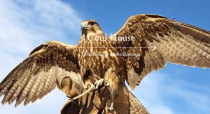 Enjoy May days out from Coul House Hotel in Contin, with scenic trips to Strathpeffer, Ullapool, Inverness, Loch Ness, waterfalls, woodland walks and the NC500